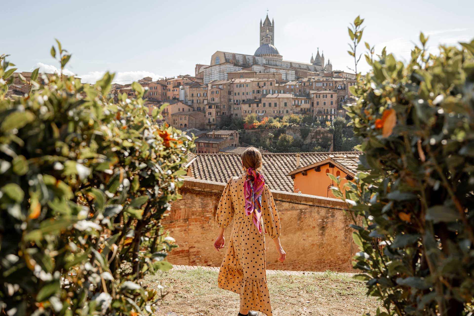 Visitor Insurance - Image 4